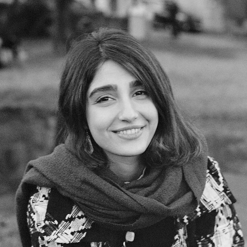 Narges Hamidi Madani